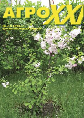 ВЫПУСК № 04 - 06 за 2009 г.