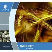 Диез 600, КЭ