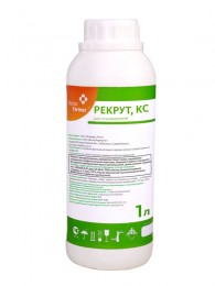 Рекрут, КС