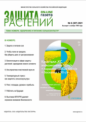 Архив номеров газеты «Защита растений» № 06/2021